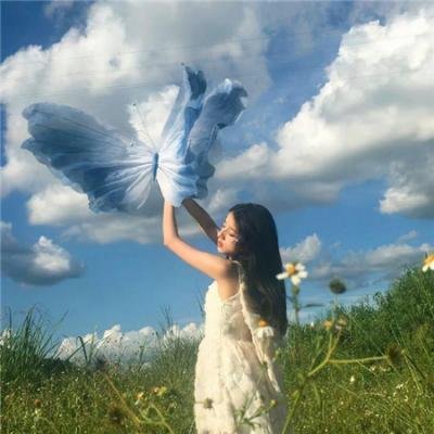 飞鹰艾迪